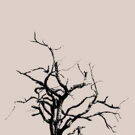 Sad Song