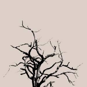 Sad Song