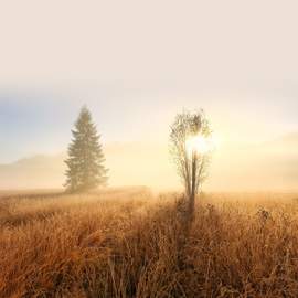 Warm Light