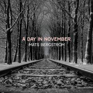 A Day in November