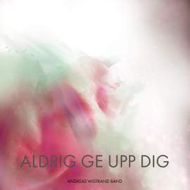 Aldrig Ge Upp Dig (Radio Edit)