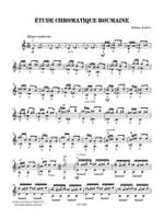 Adrian Andrei: Étude chromatique roumaine Product Image