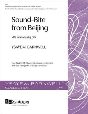 Ysaye M. Barnwell: Sound-Bite from Beijing