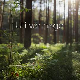 Uti vår hage