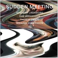 Sudden Meeting