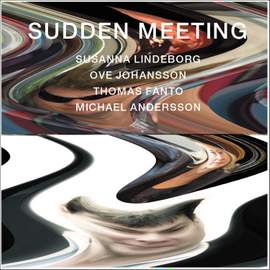 Sudden Meeting