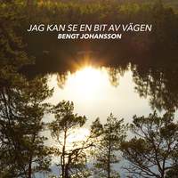 Jag kan se en bit av vägen