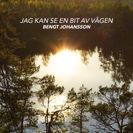 Jag kan se en bit av vägen