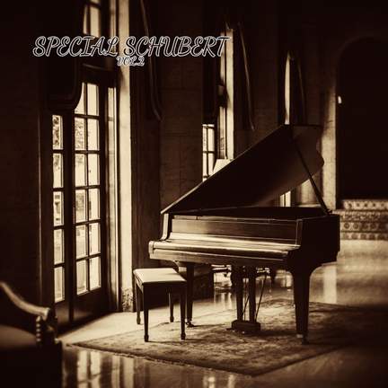 Special Schubert vol.2