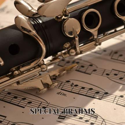 Special Brahms