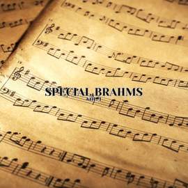 Special Brahms vol. 1