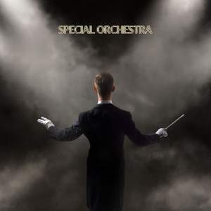 Special Orchestra
