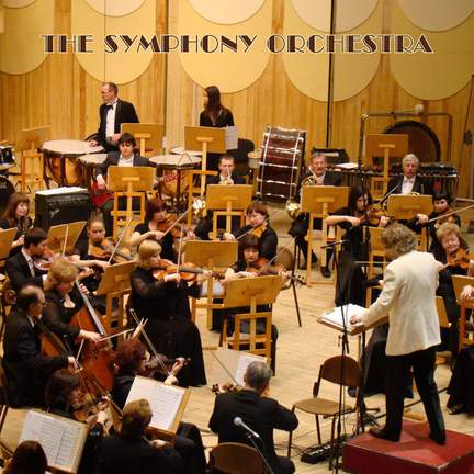The Symphony Orchestra