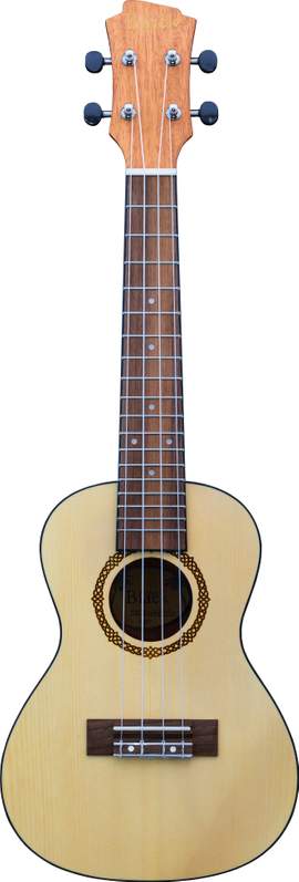Adam Black Concert Vintage Ukulele