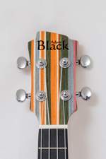 Adam Black Concert Ukulele Rainbow Product Image