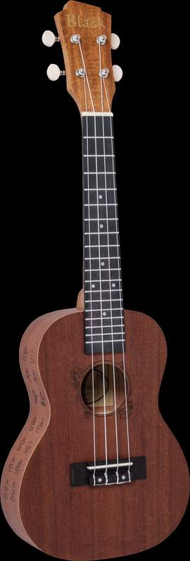 Adam Black Concert Ukulele - Chord