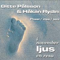 I novemberljus - en resa