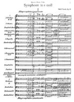 Busch, Adolf: Symphony in E minor op. 39 for large orchestra Product Image