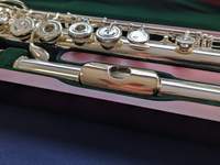 Pearl Dolce Vigore 695RBE-VGR Flute