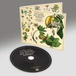 Sean Khan Presents The Modern Jazz & Folk Ensemble Product Image