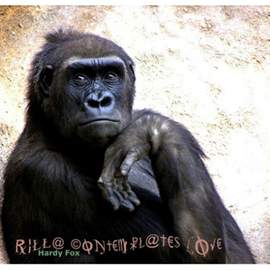 Rilla Contemplates Love