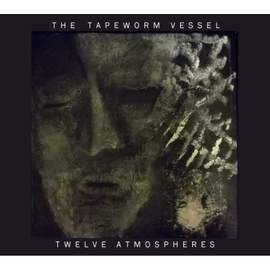 Twelve Atmospheres