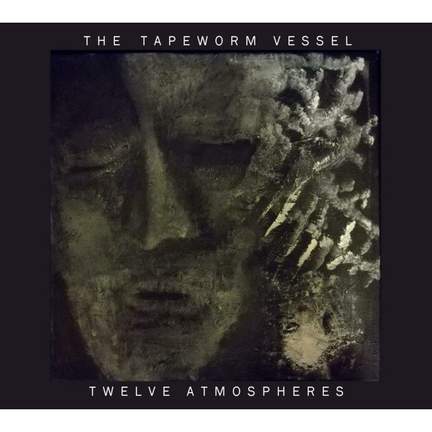 Twelve Atmospheres