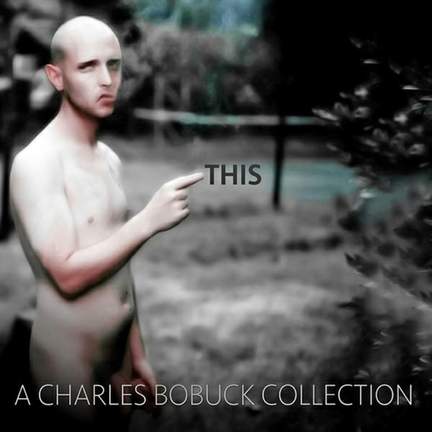 This : A Charles Bobuck Collec