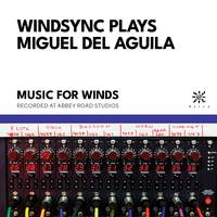 WindSync Plays Miguel del Aguila