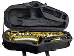 Trevor James Alphasax Alto Saxophone Outfit - Gold Lacquer Product Image