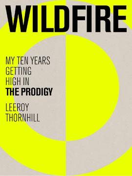 Wildfire: My Ten Years Getting High in The Prodigy
