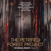 The Petrified Forest Project