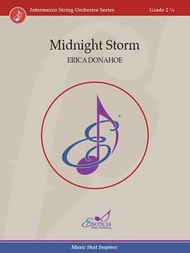 Erica Donahoe: Midnight Storm