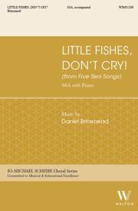 Daniel Brinsmead: Little Fishes, Don't Cry!