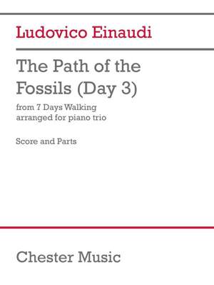 Ludovico Einaudi: The Path of the Fossils (Day 3)
