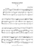 Albinoni, Tomaso Giovanni: Trattenimenti armonici per camera – Twelve Sonatas, Op. 6 Nos. 9–12. Volume 3 Product Image