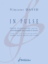 Vincent David: In Pulse
