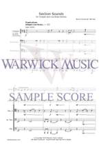 David Rahbee: Section Sounds Product Image
