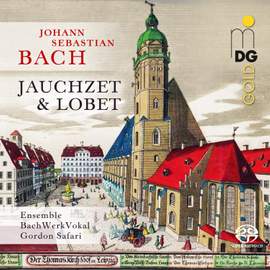 J.s. Bach: Cantatas & Motets
