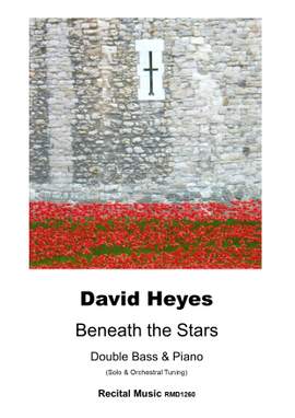 David Heyes: Beneath the Stars