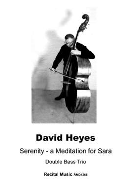 David Heyes: Serenity - a Meditation for Sara