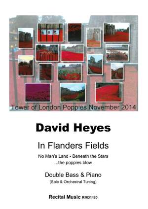David Heyes: In Flanders Fields