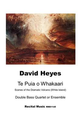 David Heyes: Te Puia o Whakaari