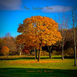 Scottish Songs Observed