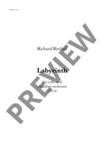 Birchall, Richard: Labyrinth Product Image