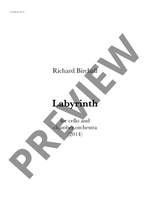 Birchall, Richard: Labyrinth Product Image