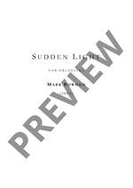 Bowden, Mark: Sudden Light Product Image