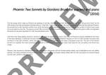 Erber, James: Phoenix Product Image