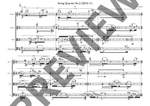 Erber, James: String Quartet No.2 Product Image