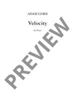 Gorb, Adam: Velocity Product Image